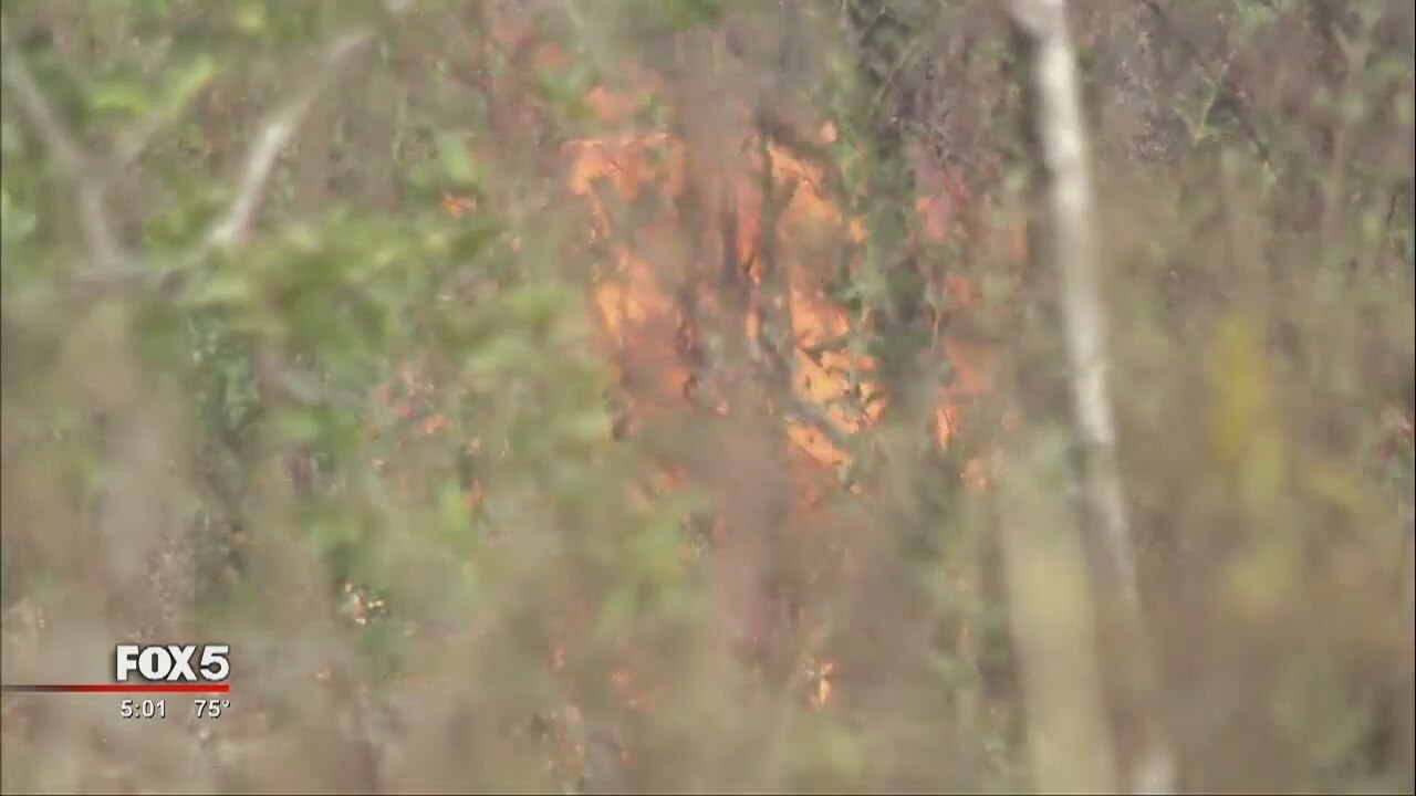 Fast-moving wildfires