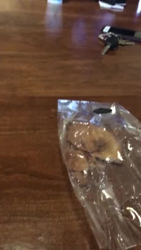 Fake immigration lawyer