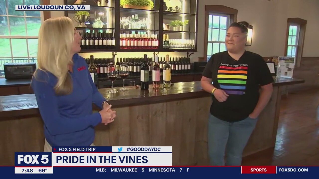 Loudoun County vineyards tour