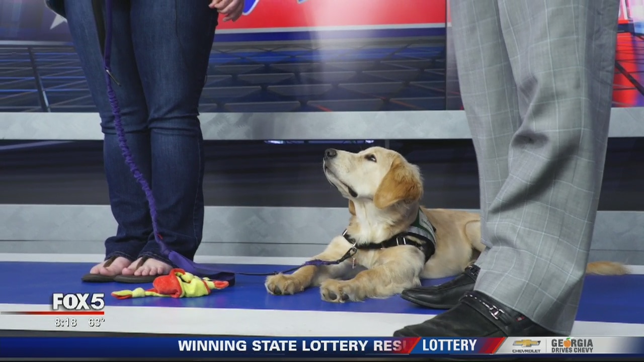 Max is learning to be 'reliable'