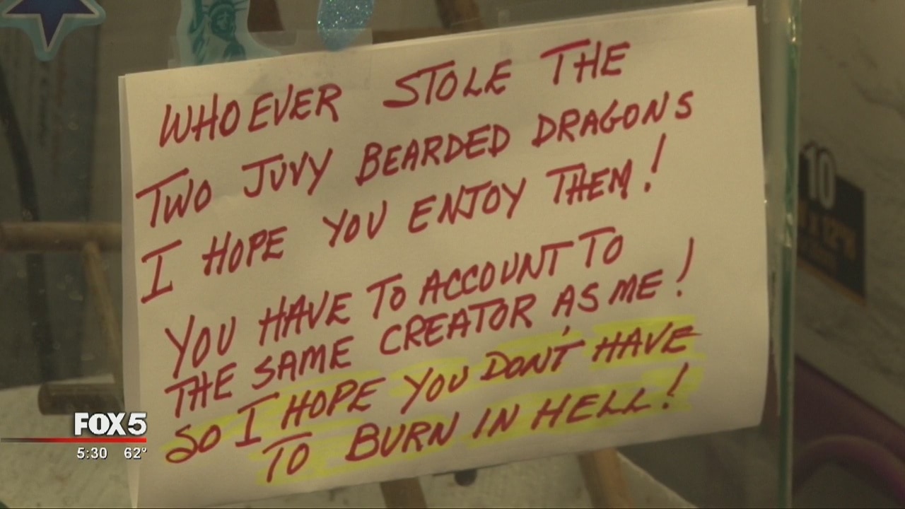 Several reptiles stolen from a Gainesville pet store