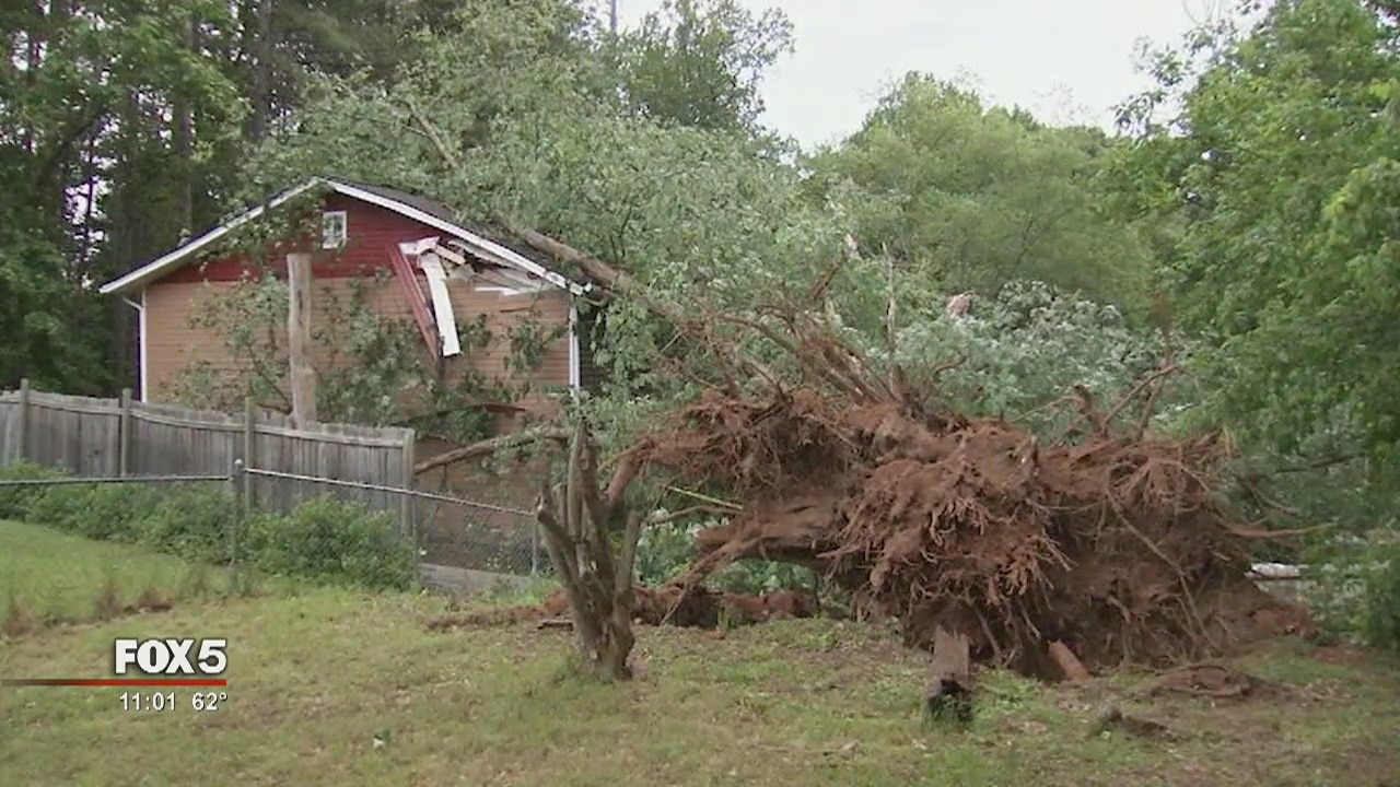 Tree falls on Norcross home