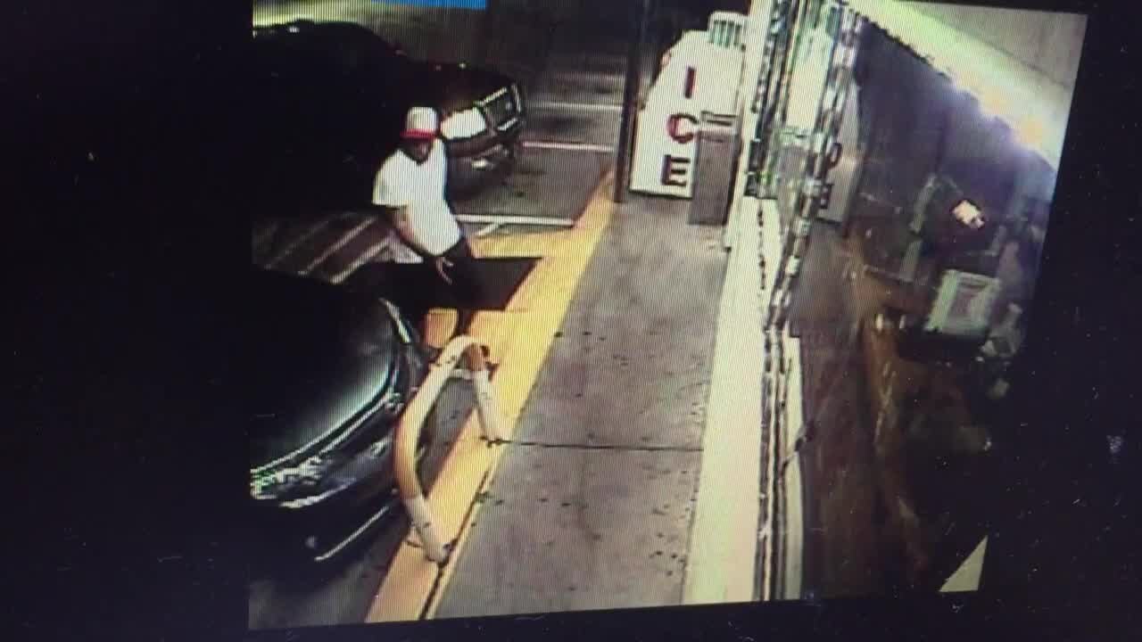 Police: Man arrested for punching dog in Decatur