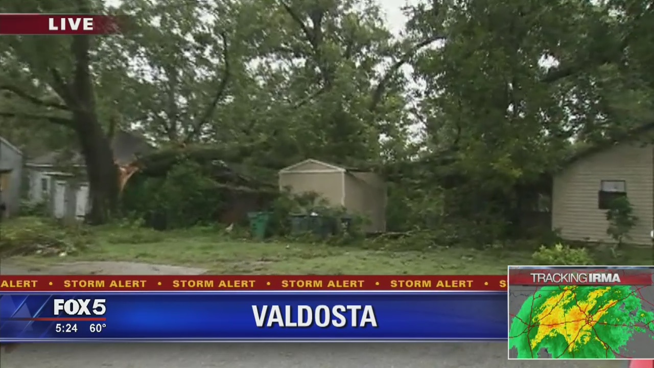 South Georgia damage