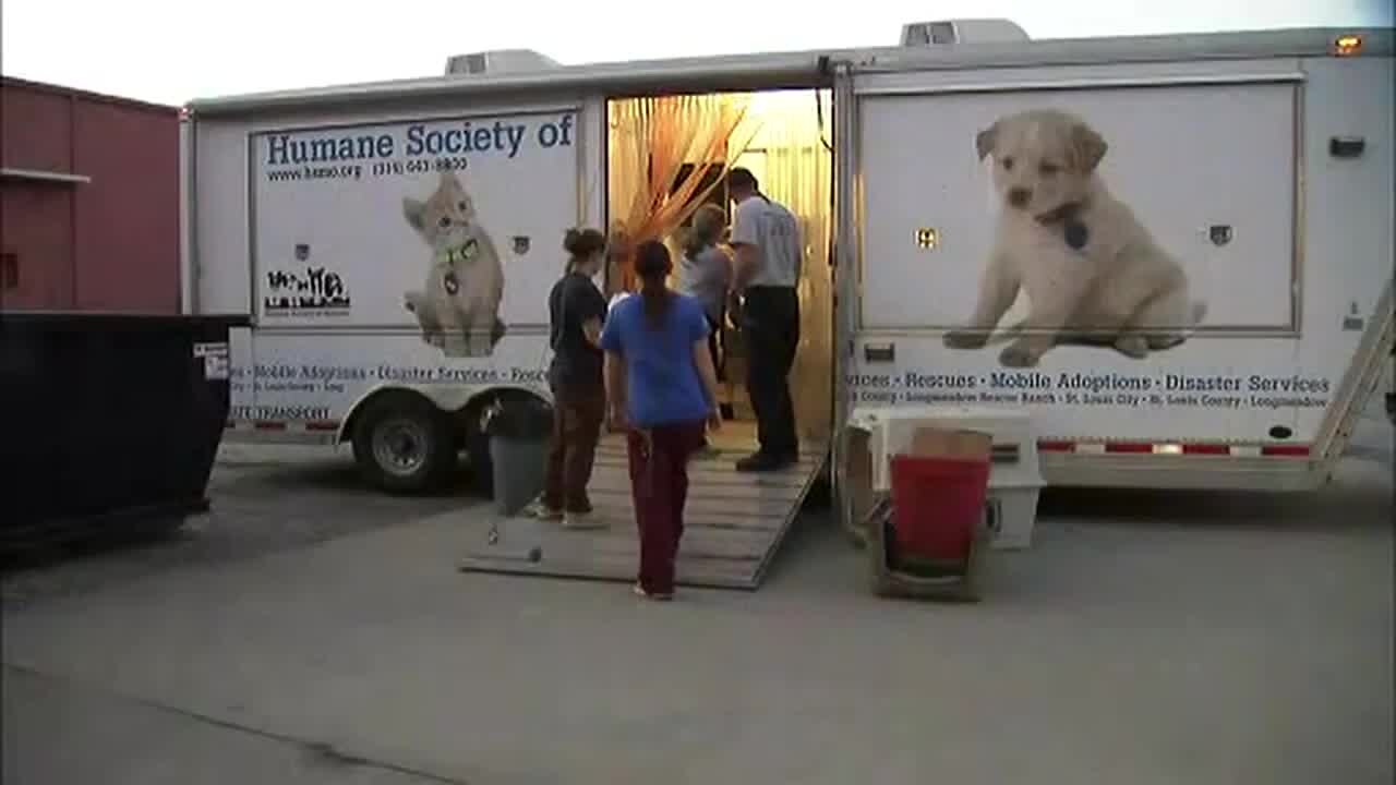 Atlanta Humane Society