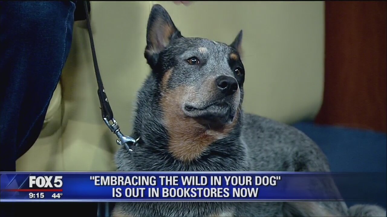 'Embracing the Wild in Your Dog'