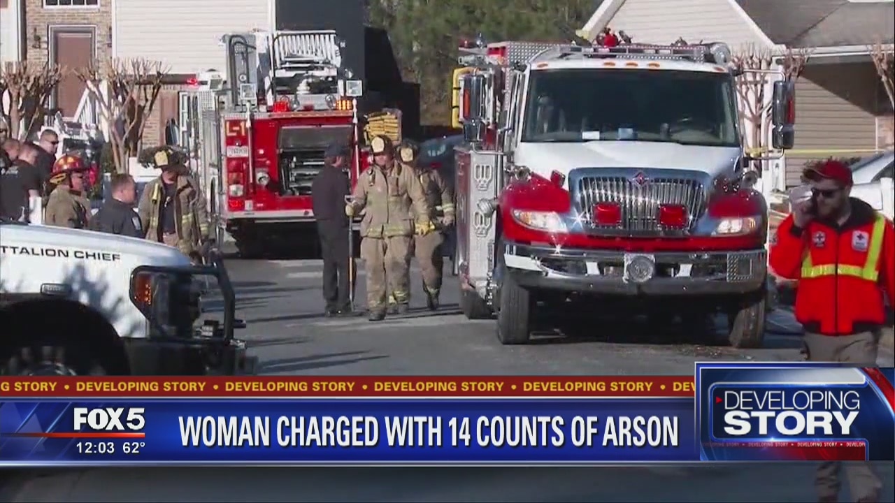 Woman charged with 14 counts of arson