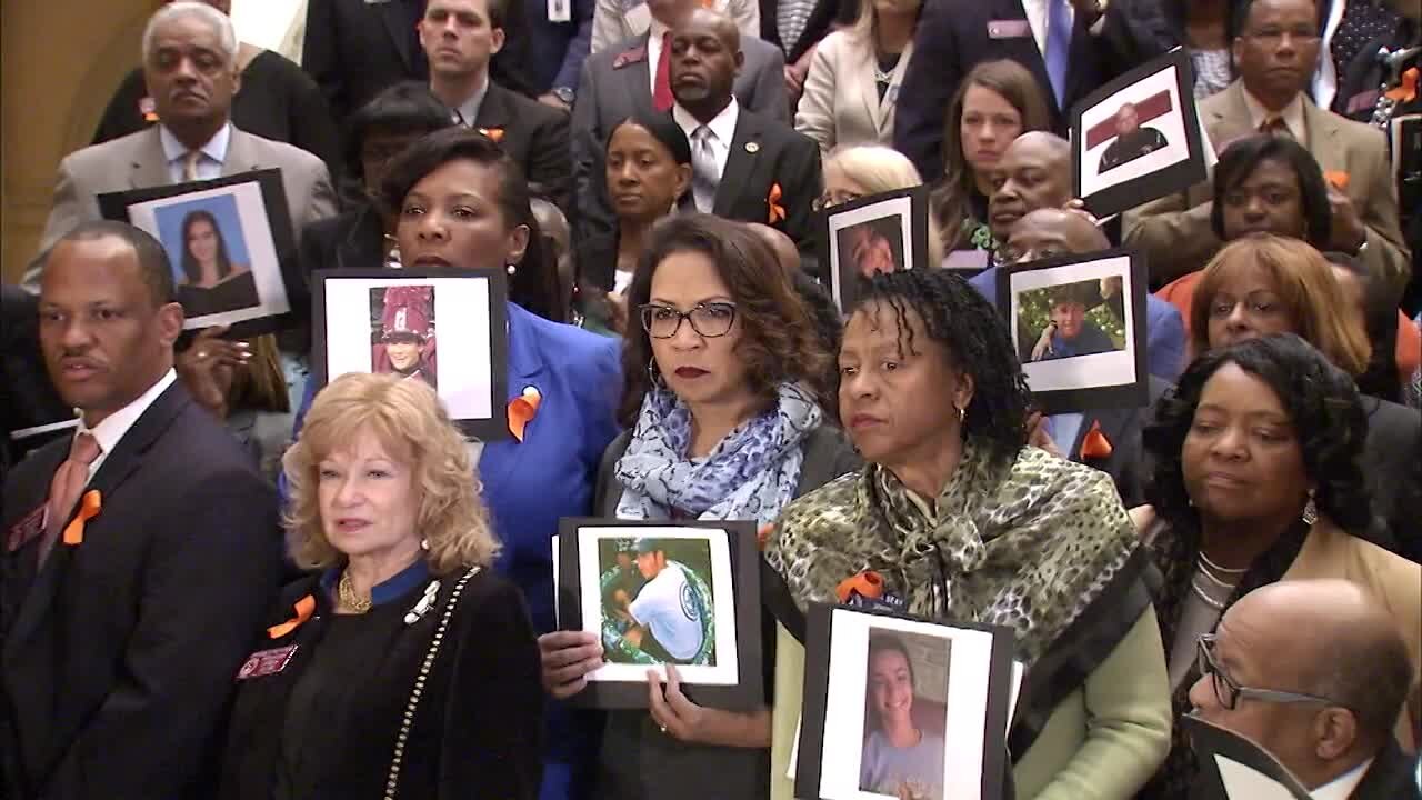 Parkland 17 honored by Georgia Lawmakers
