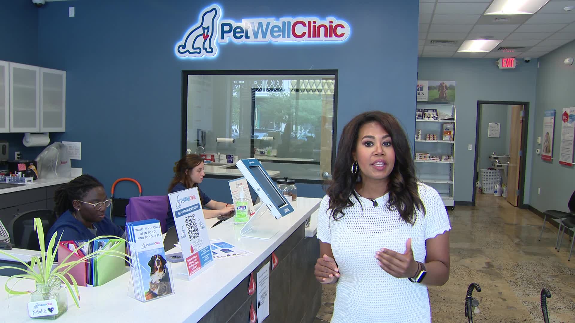 How to keep your pets safe in the heat