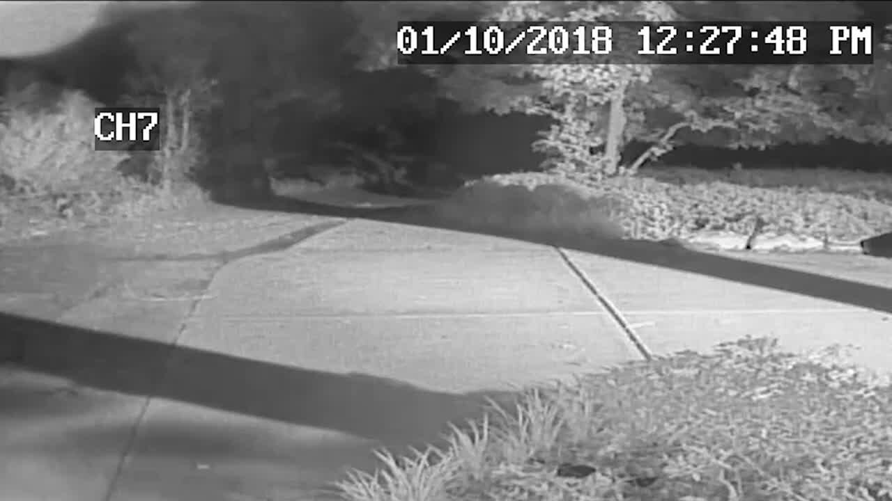 Surveillance video released in senior citizen's murder case