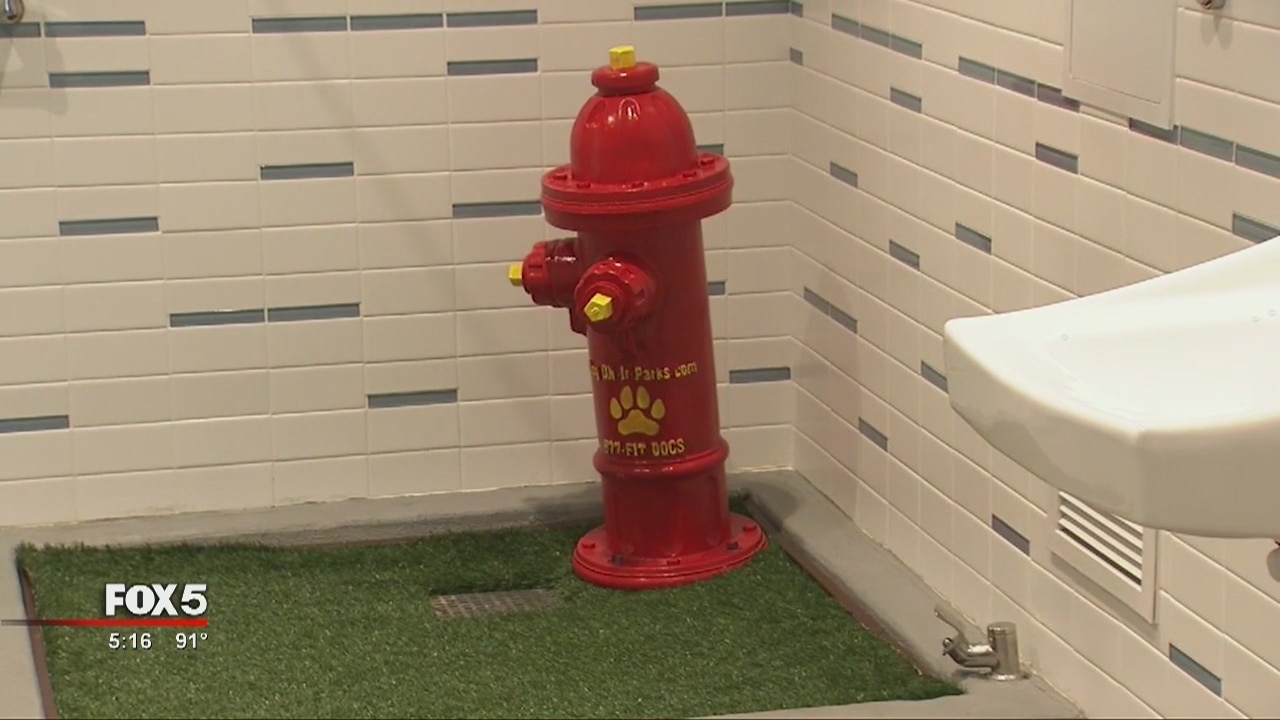 $4 million spent on airport dog bathrooms