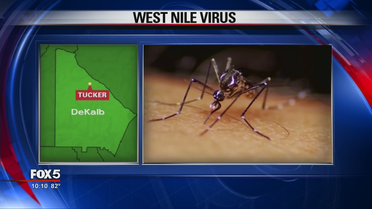 West Nile virus present in DeKalb County