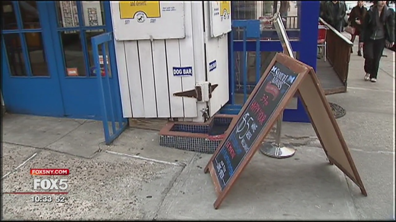 Dining with your dog