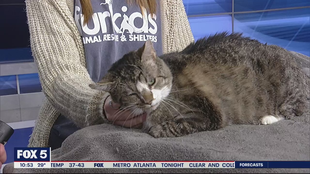 Pet of the Day: January 21, 2020