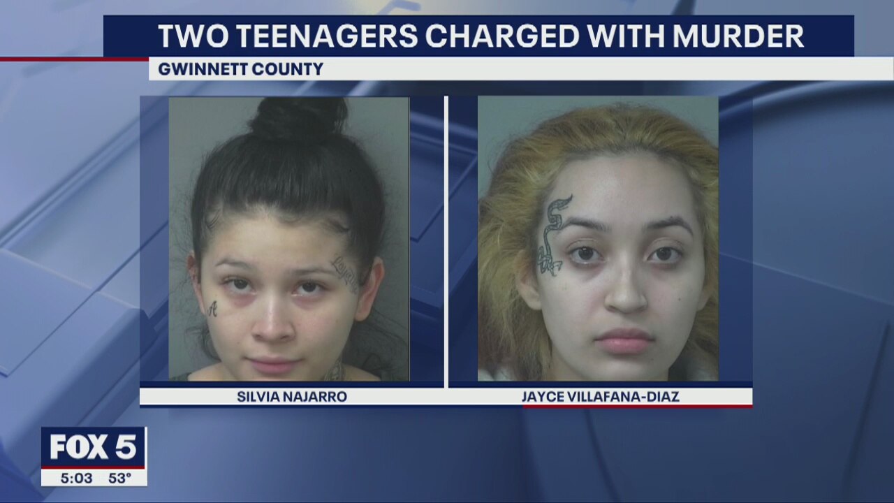 2 teens charged with murder