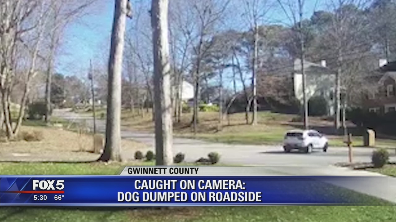 Driver caught dumping dog in Gwinnett County