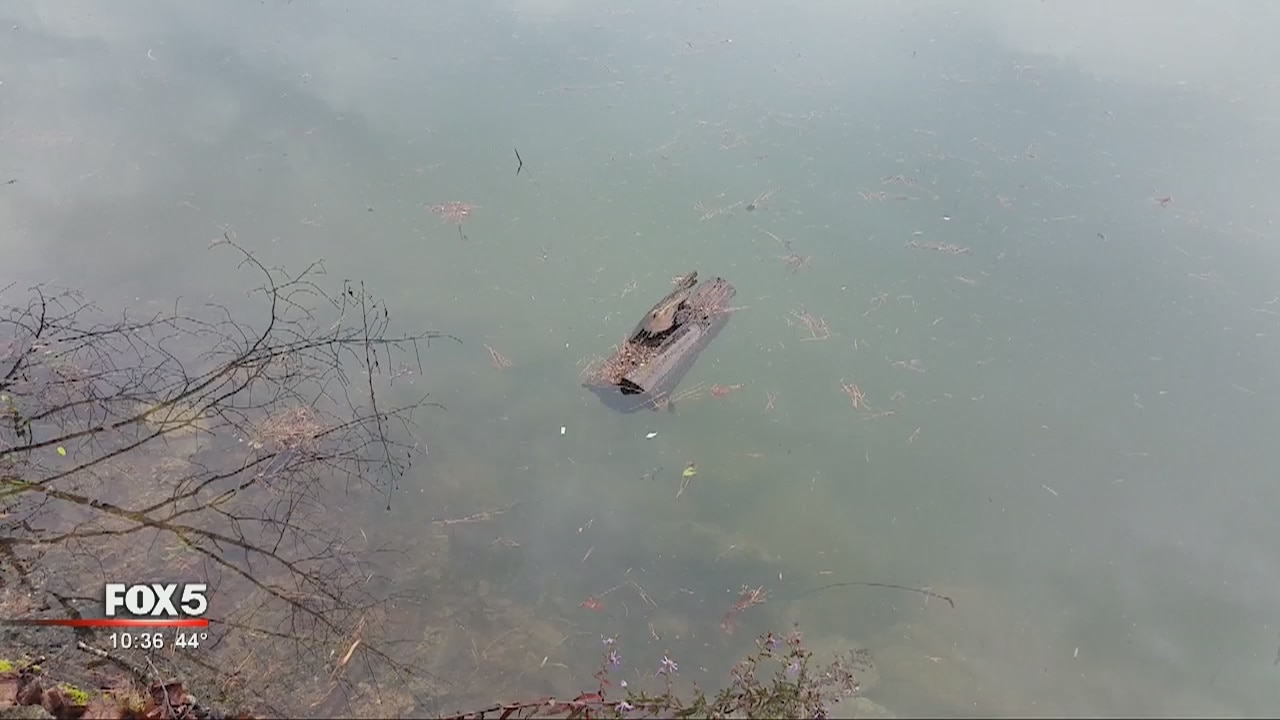 Lake Lanier debris