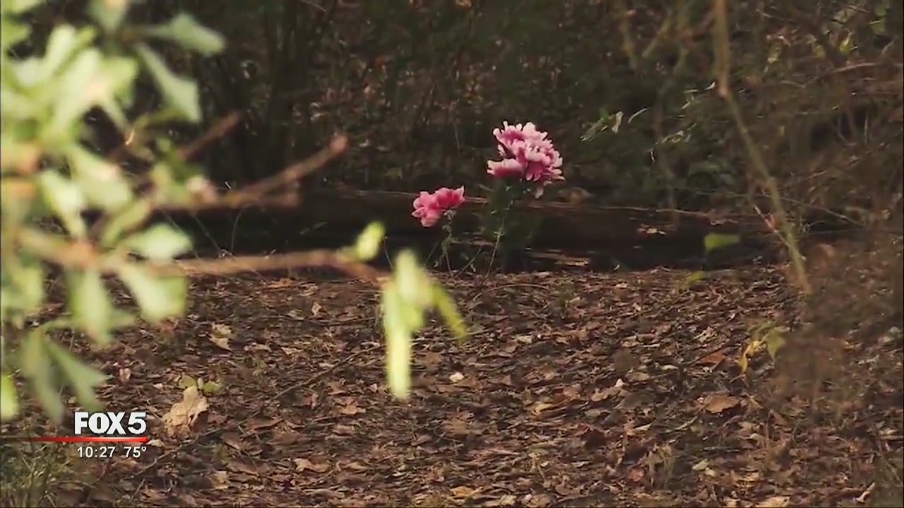 Chilling testimony in Newton County infant murder trial