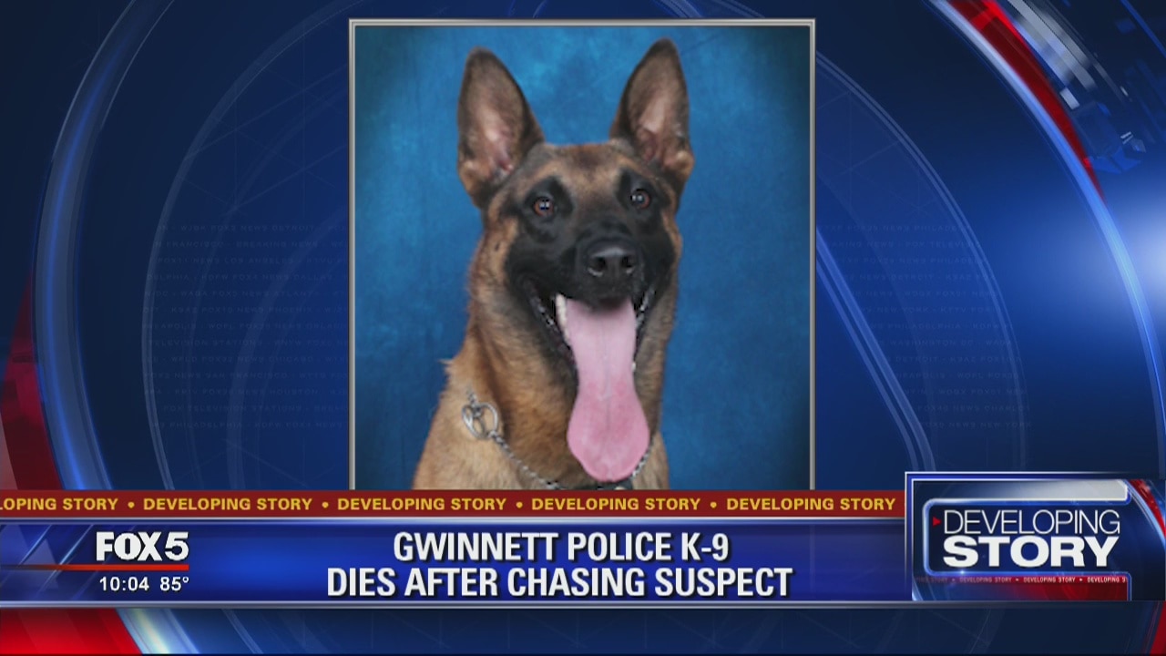Gwinnett County Police K-9 dies after chasing suspect
