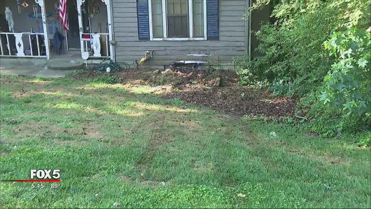 Car crashes in home