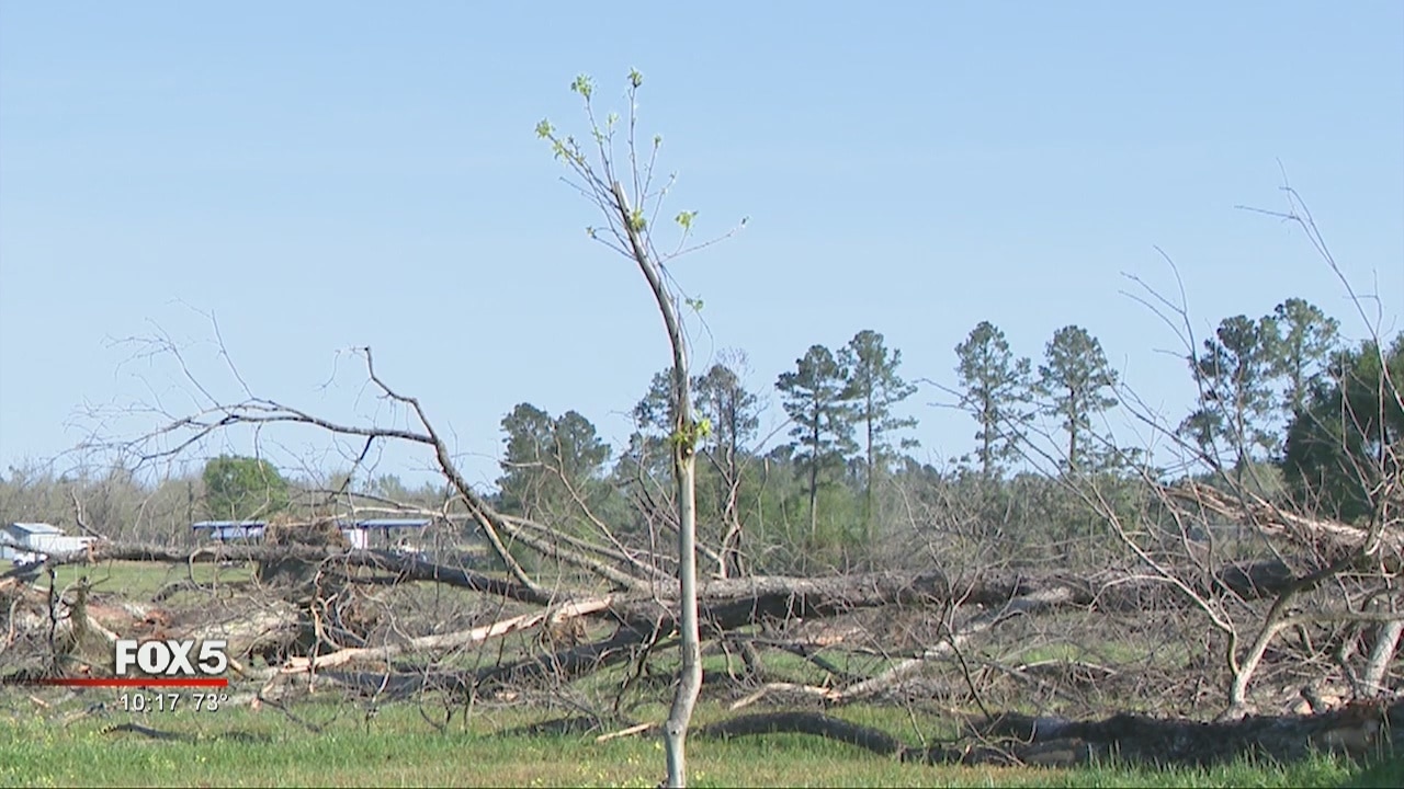 Disaster relief bill signed