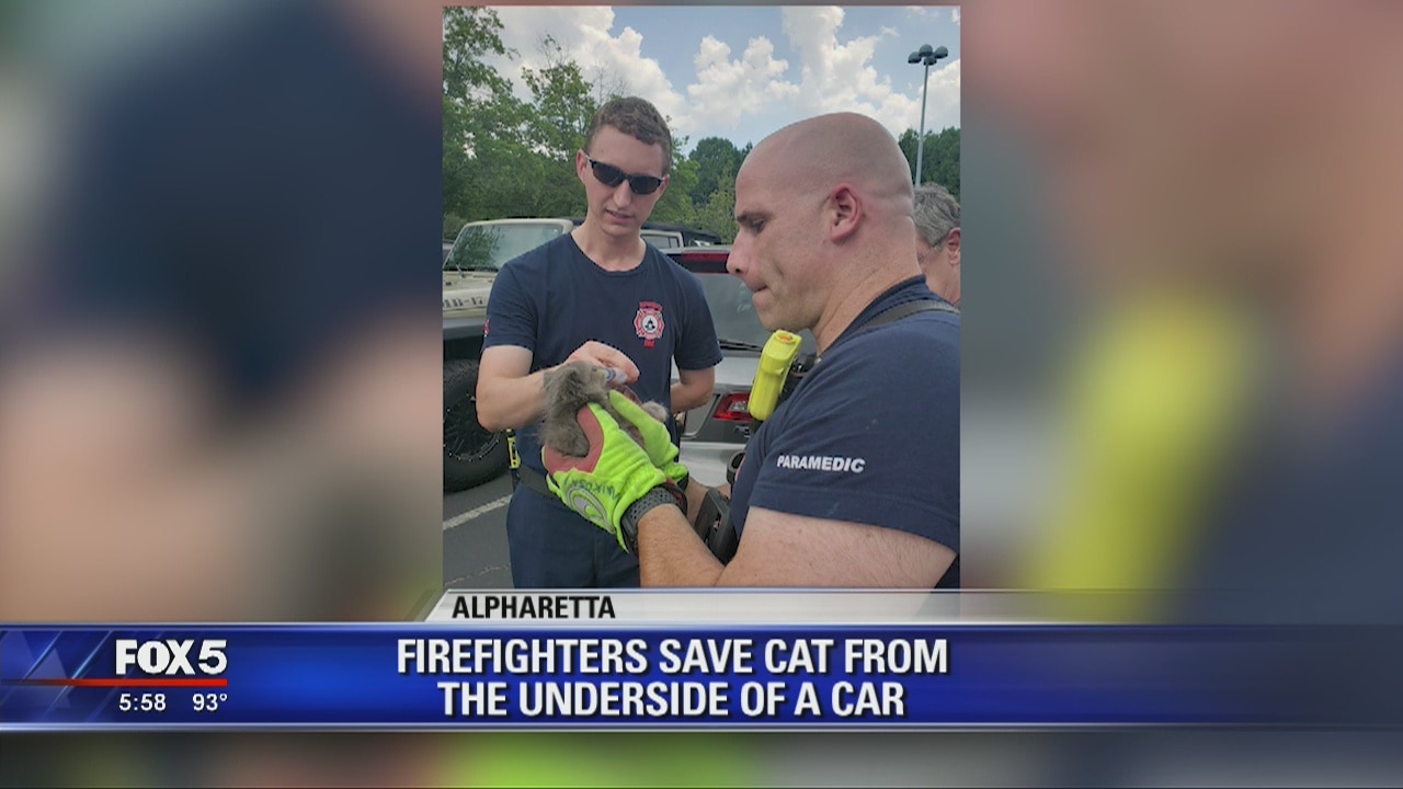 Alpharetta firefighter save cat from underside of car