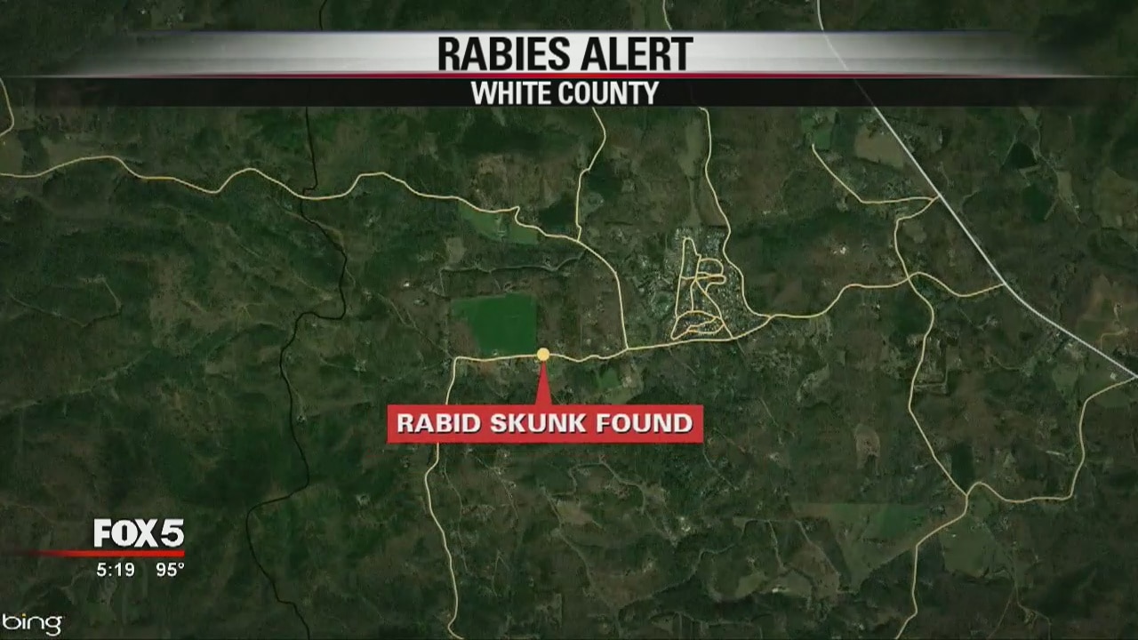 White County rabies alert