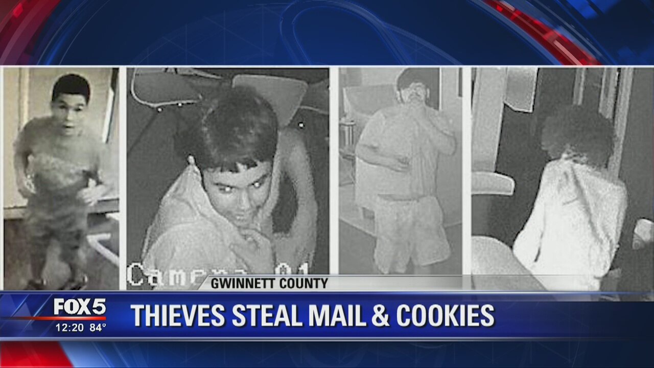 Thieves steal mail and cookies