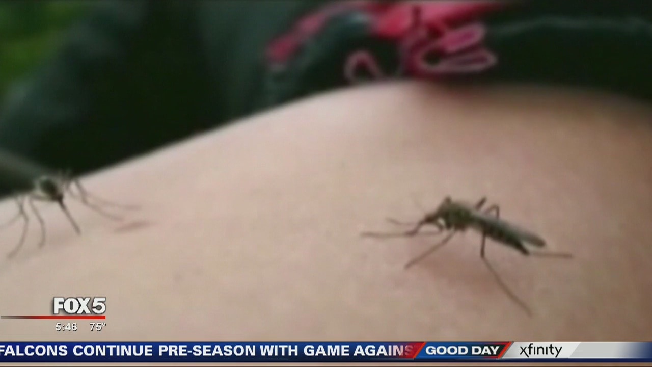 Protecting yourself from mosquitoes while saving pollinators