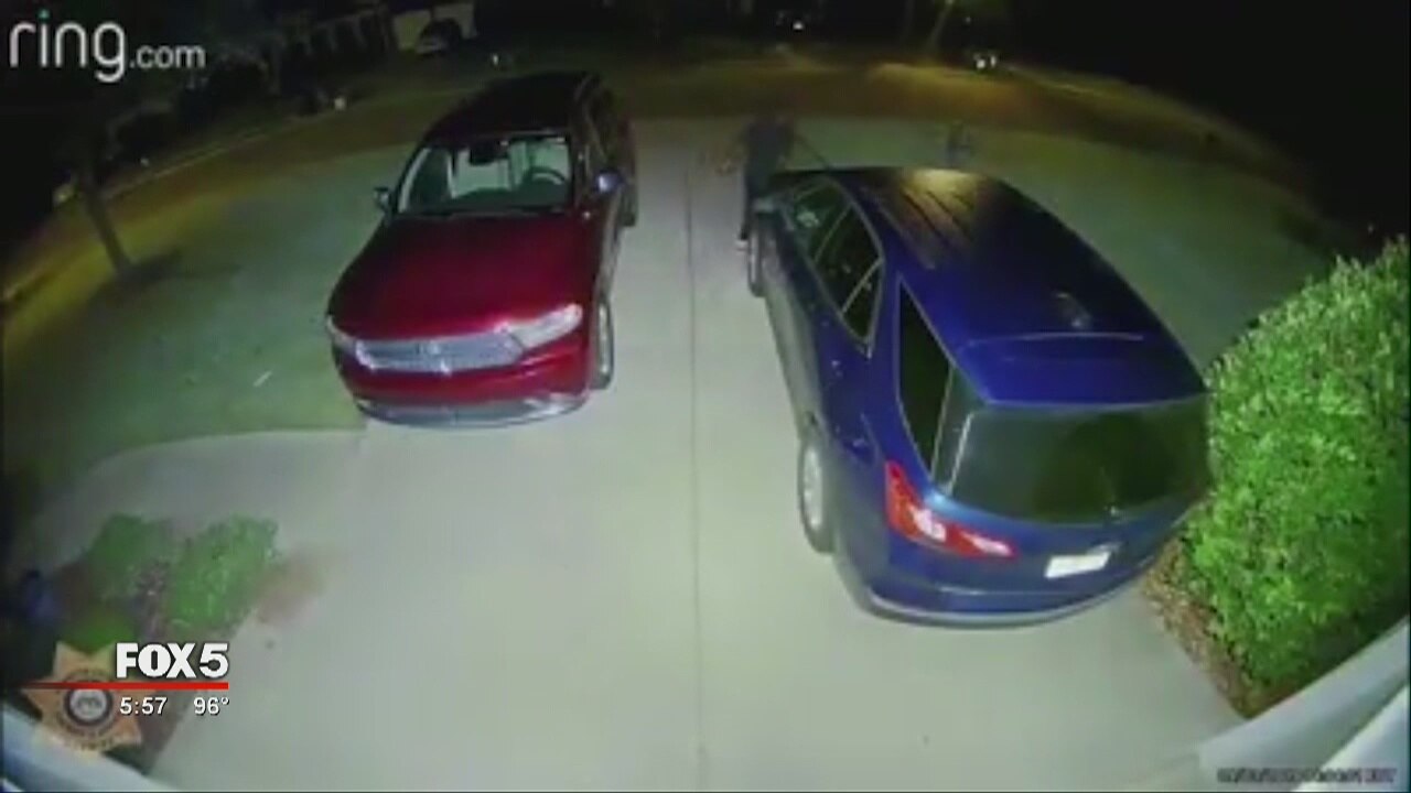 Forsyth County car thieves
