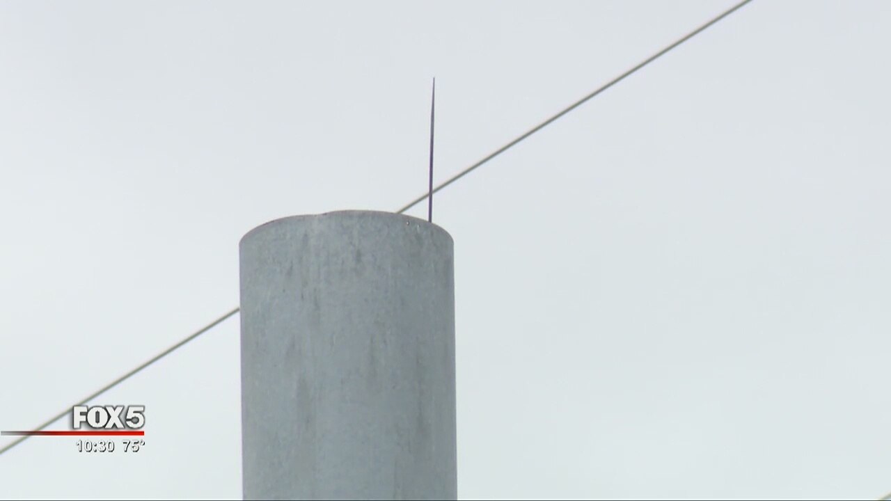 Sterigenics under microscope