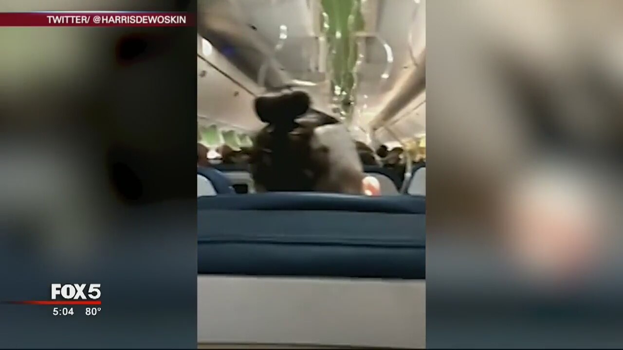 Delta flight makes emergency landing