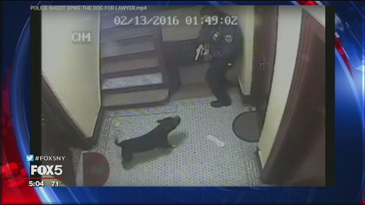 Cop shoots dog