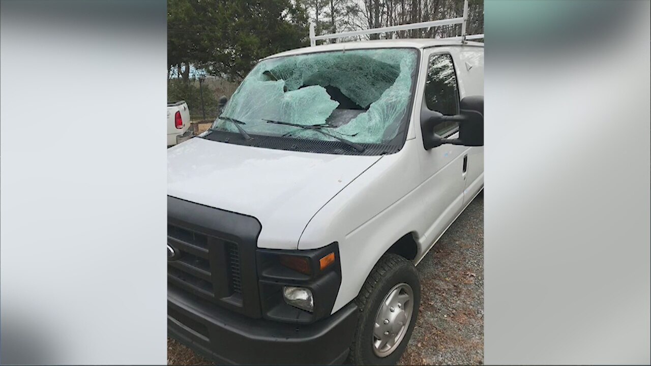 Deer crashes through windshield