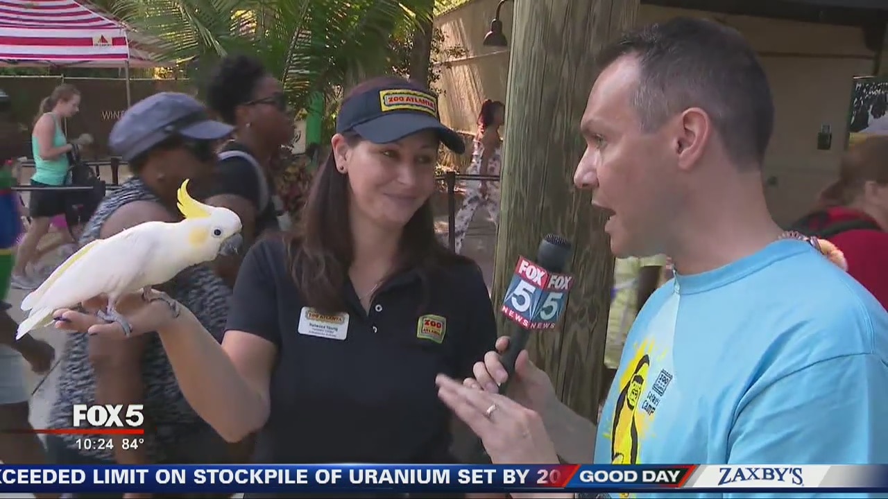 Kids getting wild at Zoo Atlanta