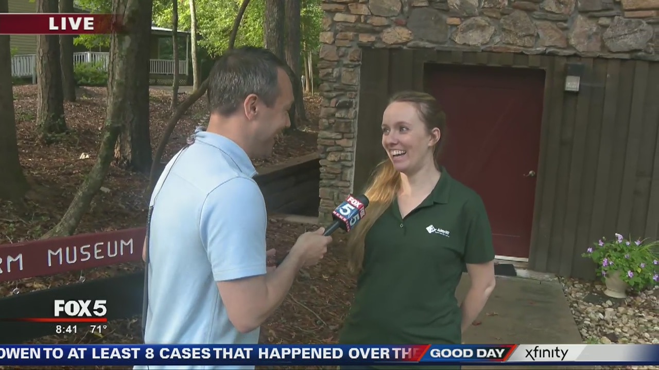 Family Farm Festival