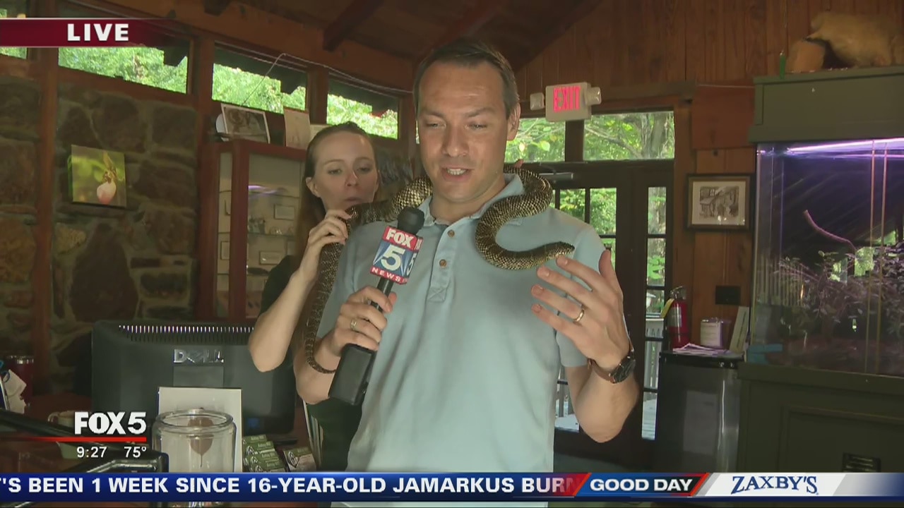 Autrey Mill invites visitors to 'Come Back to the Farm'