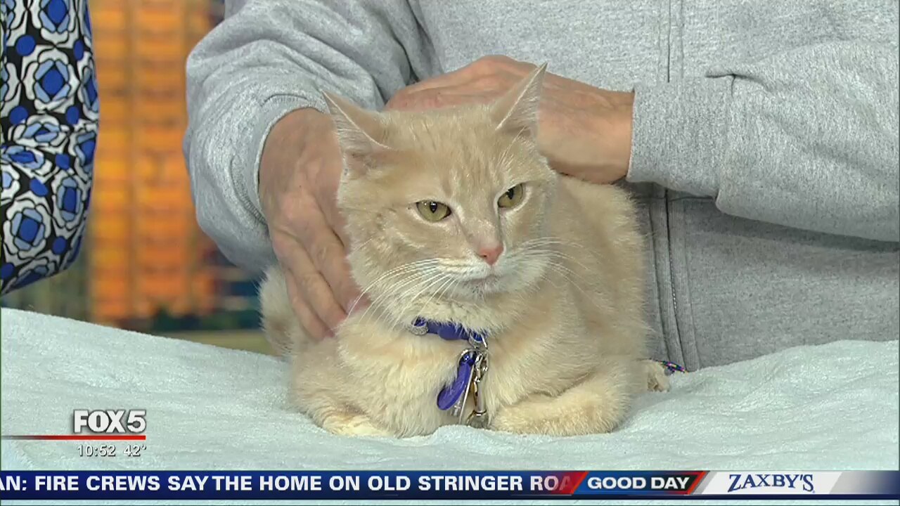 Pet of the Day: December 2, 2019