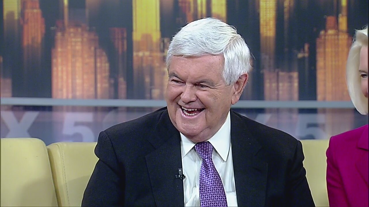 Newt Gingrich Weighs in on Democratic Debate
