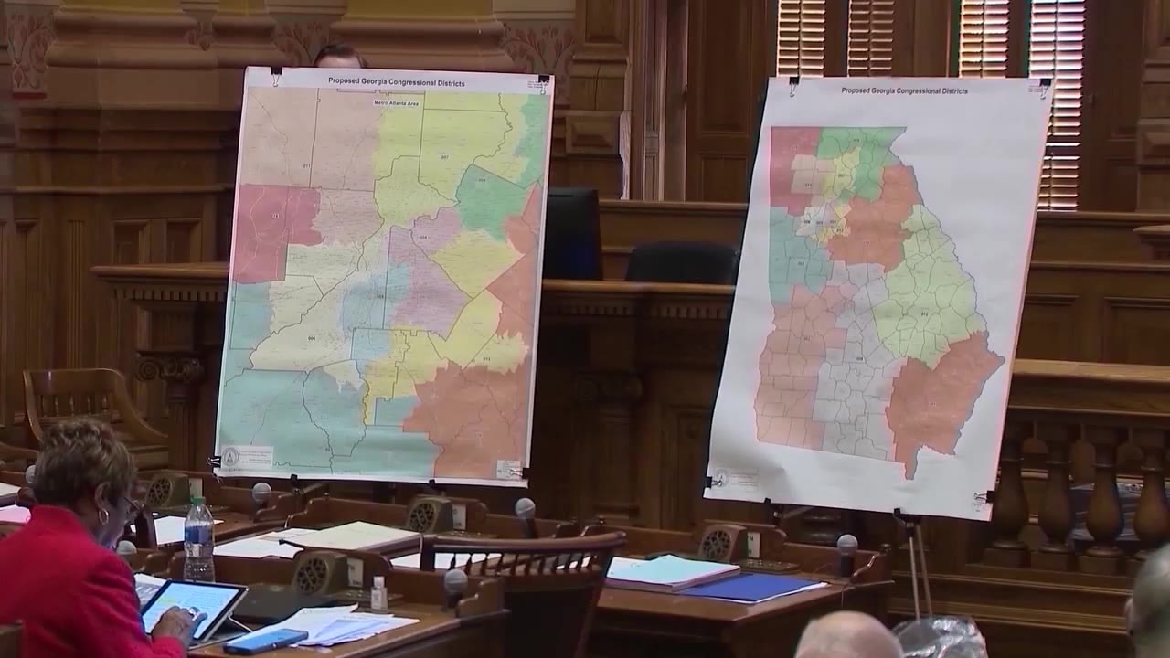 Reaction to judge's approval of Georgia's redistricting