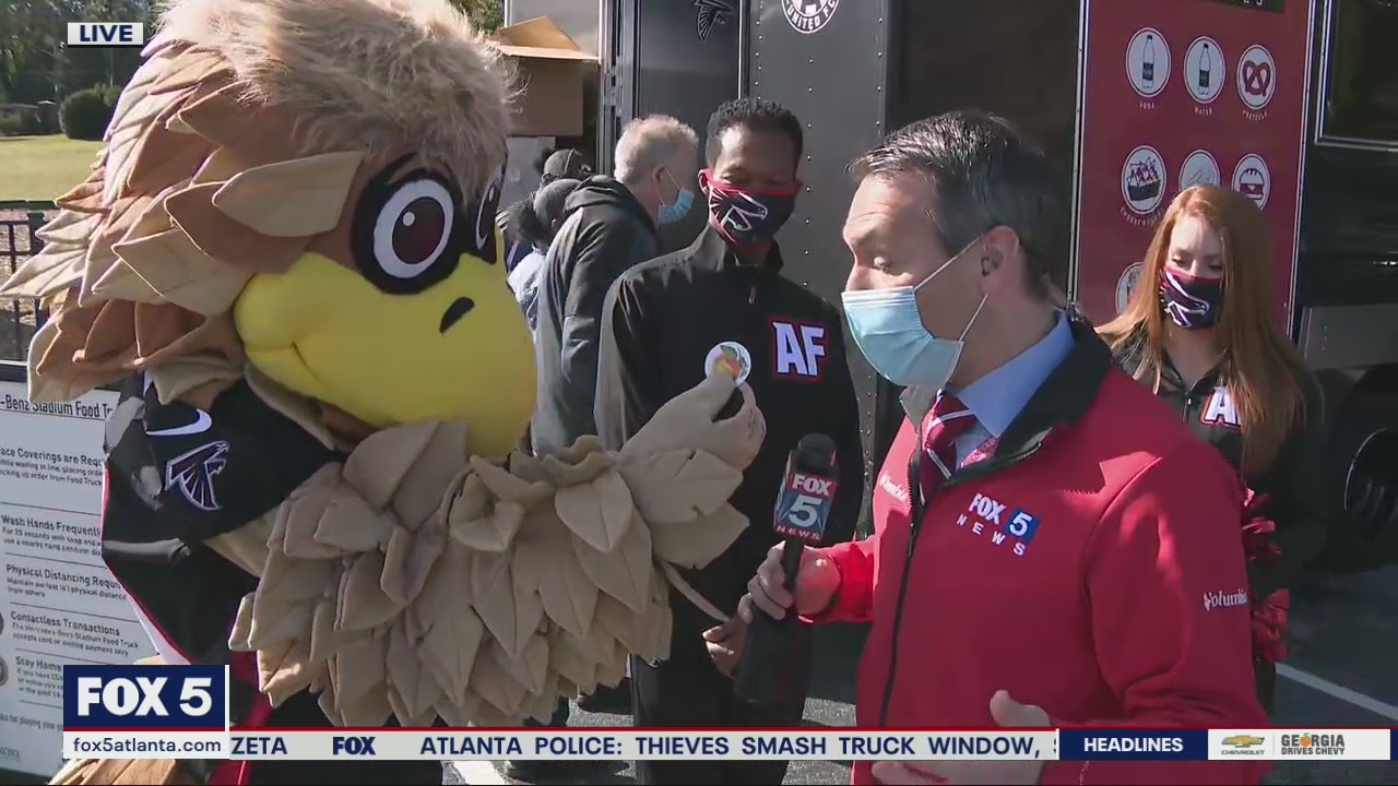 Falcons rise up to feed voters