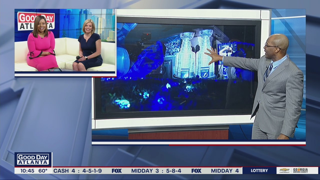 Florida family puts out massive Tampa Bay Lightening-themed holiday display