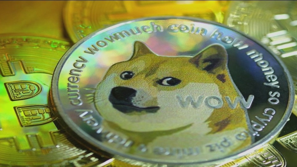 Rise of Dogecoin