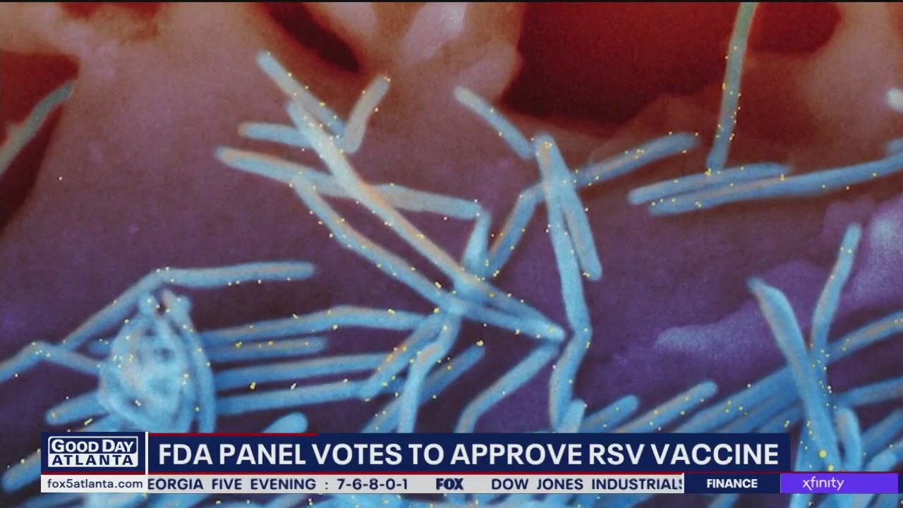 FDA panel approves RSV vaccine