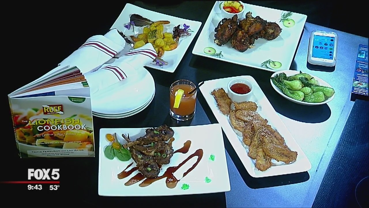 Good Day Cafe: Spur Tree