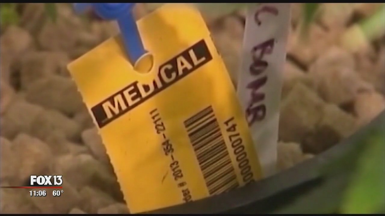 Medical marijuana issue to return to Nov. ballot