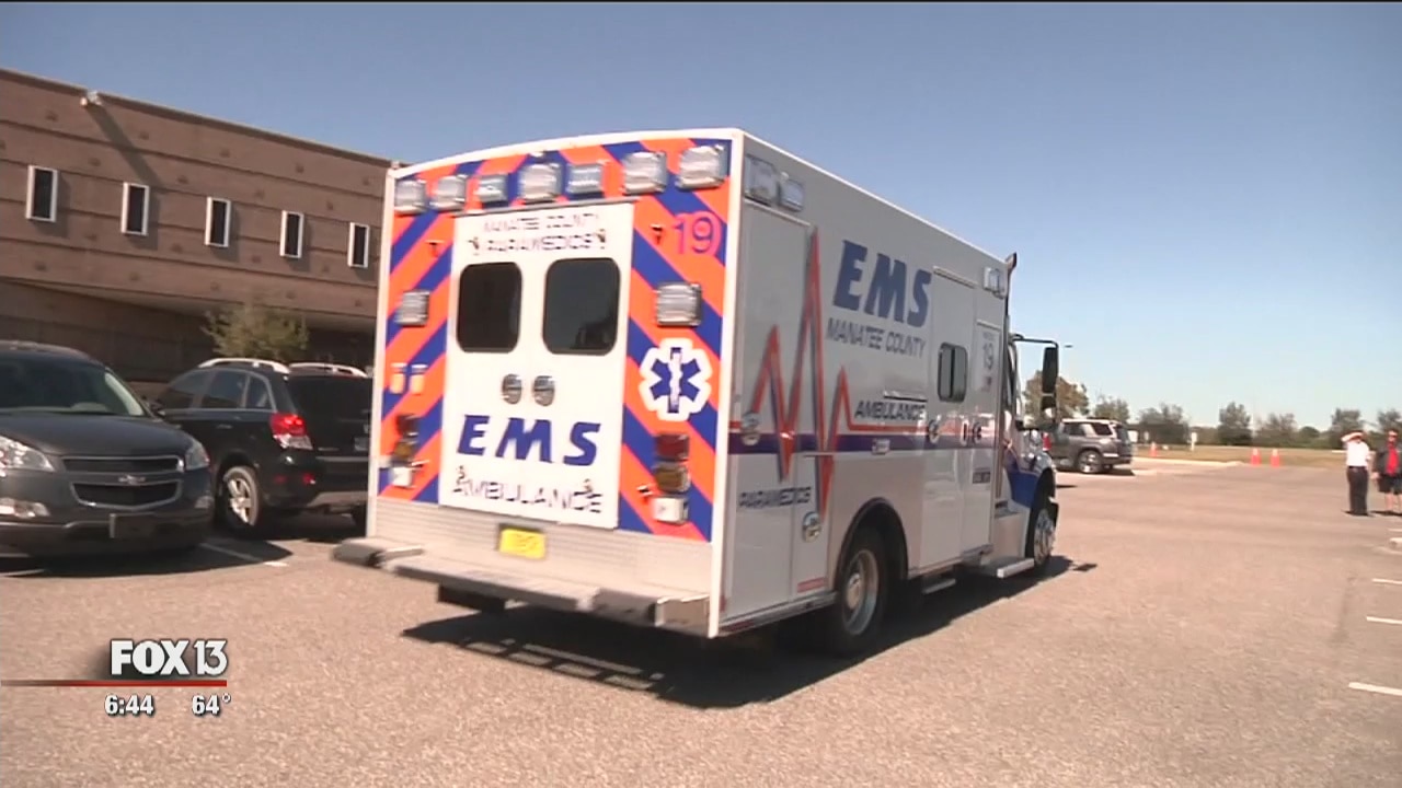 Manatee non-emergency program