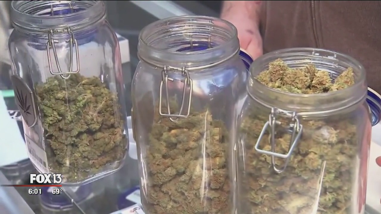 Marijuana laws in Tampa