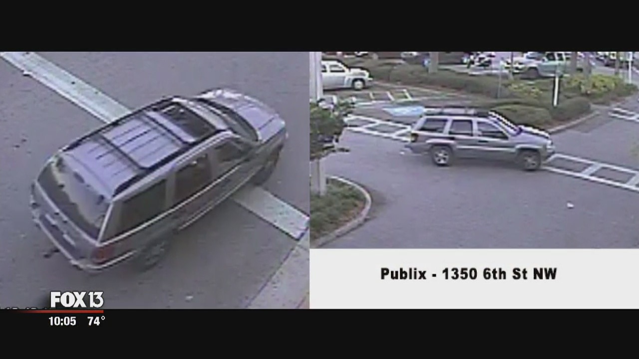 Suspected purse thieves caught