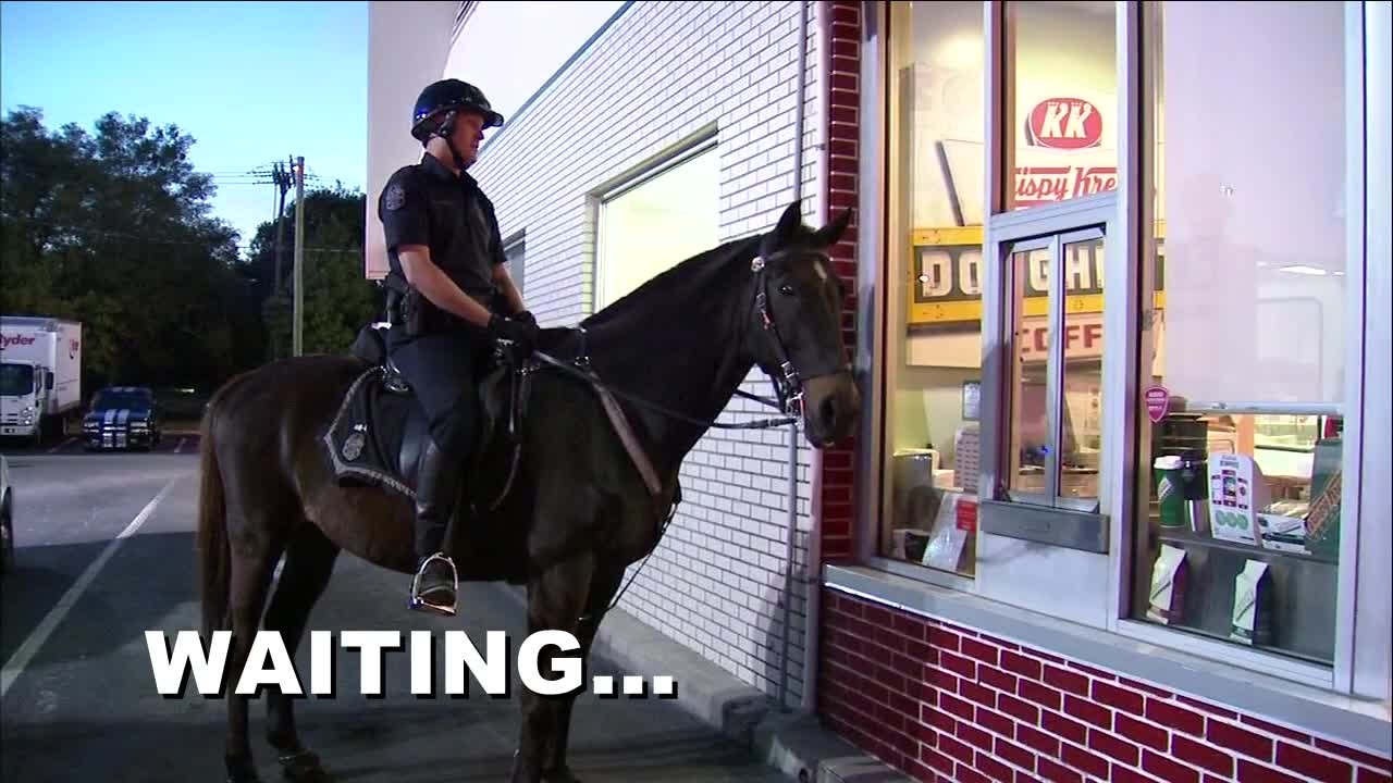 Police horse at the Krispy Kreme drive-thru